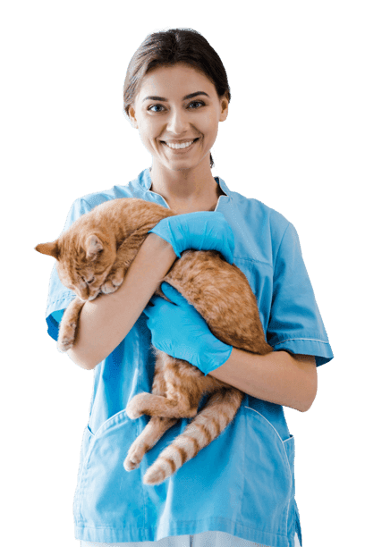 Tierarztin mit Katze
